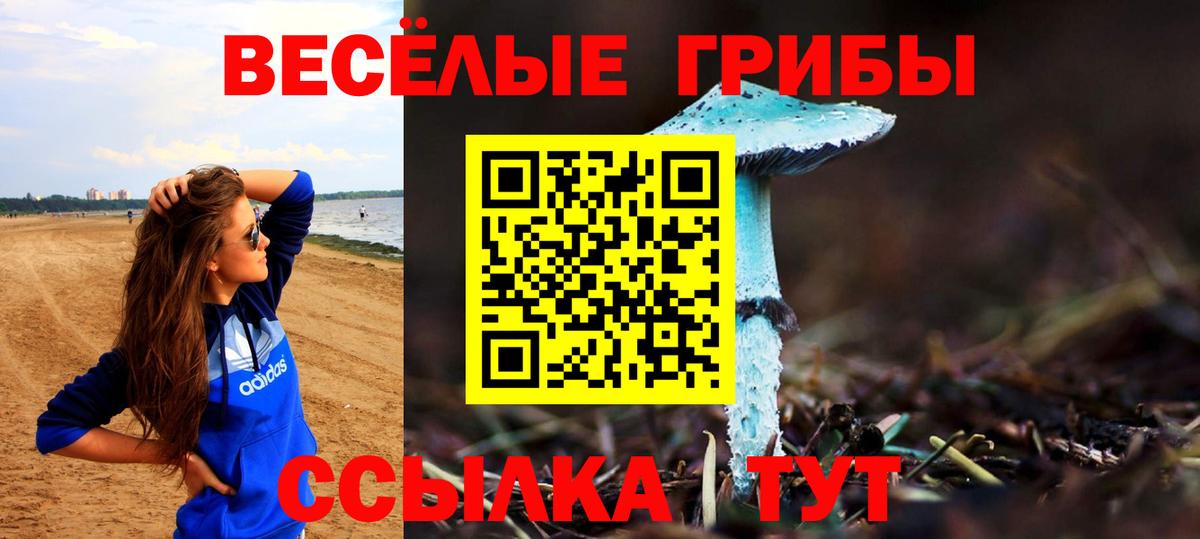 Псилоцибиновые грибы ЛСД Зеленодольск